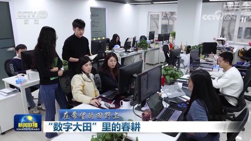 數(shù)字大田里的春耕 上海信息咨詢(xún)服務(wù)引領(lǐng)農(nóng)業(yè)現(xiàn)代化新篇章