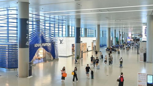 東航發(fā)布最新退改簽政策，上海機(jī)場為旅客提供不間斷信息咨詢服務(wù)